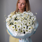 Букет из ромашек микс М