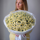 Букет из ромашек L
