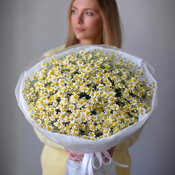 Букет из ромашек L