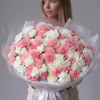 Букет из 101 диантуса